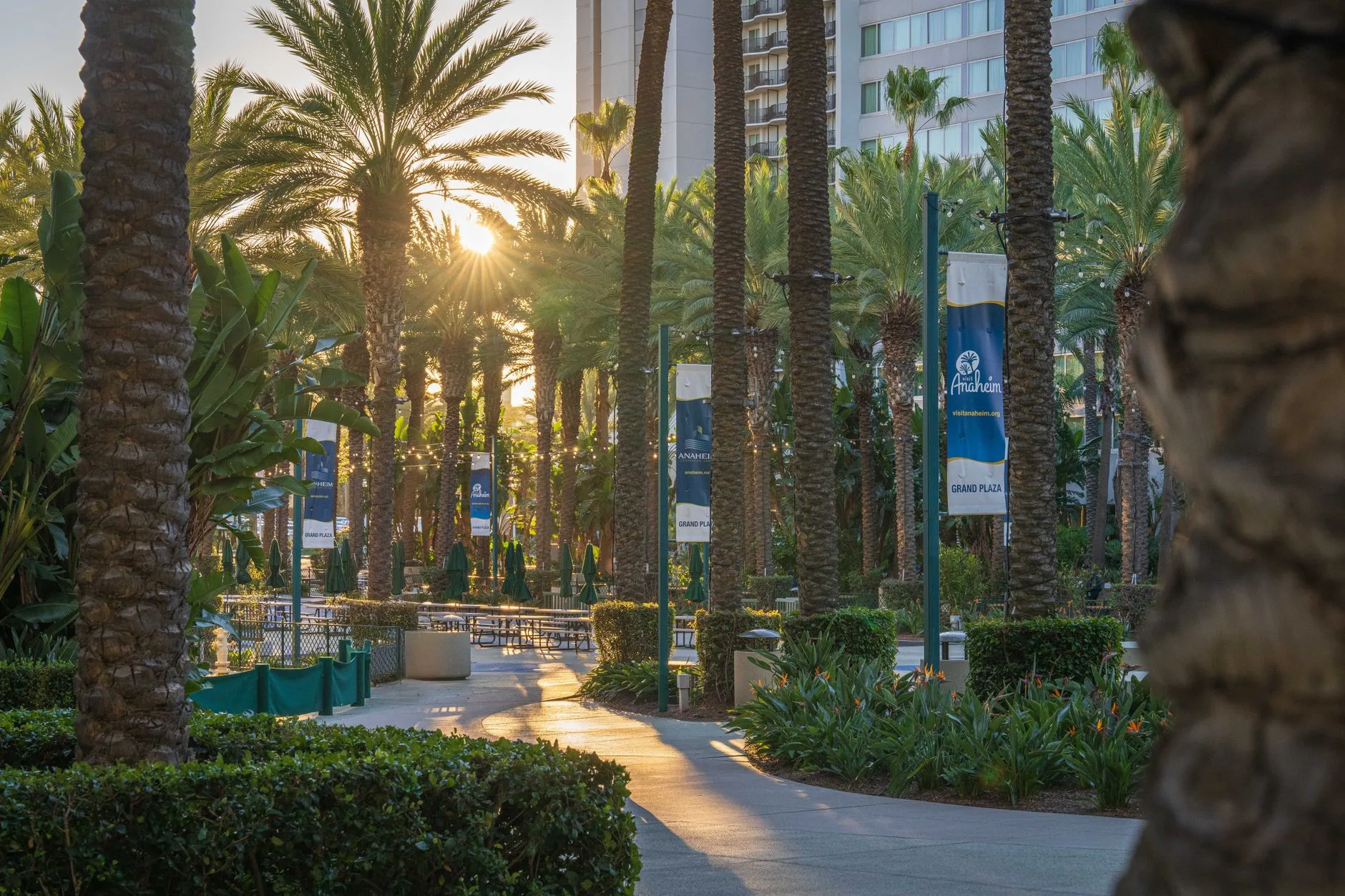 Anaheim