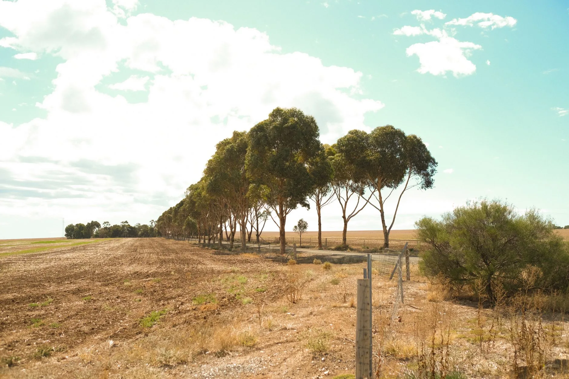 Barossa Valley