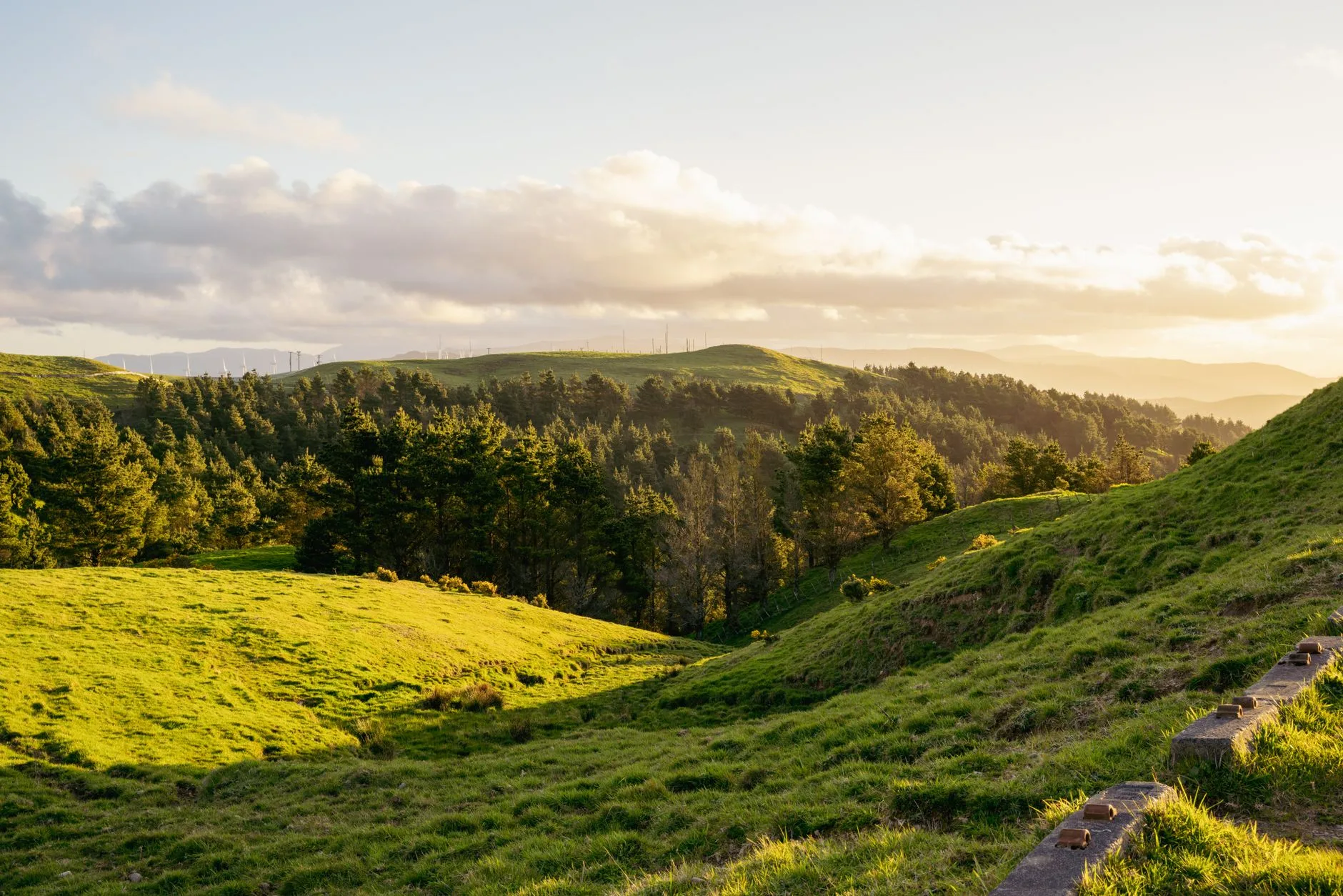 Palmerston North
