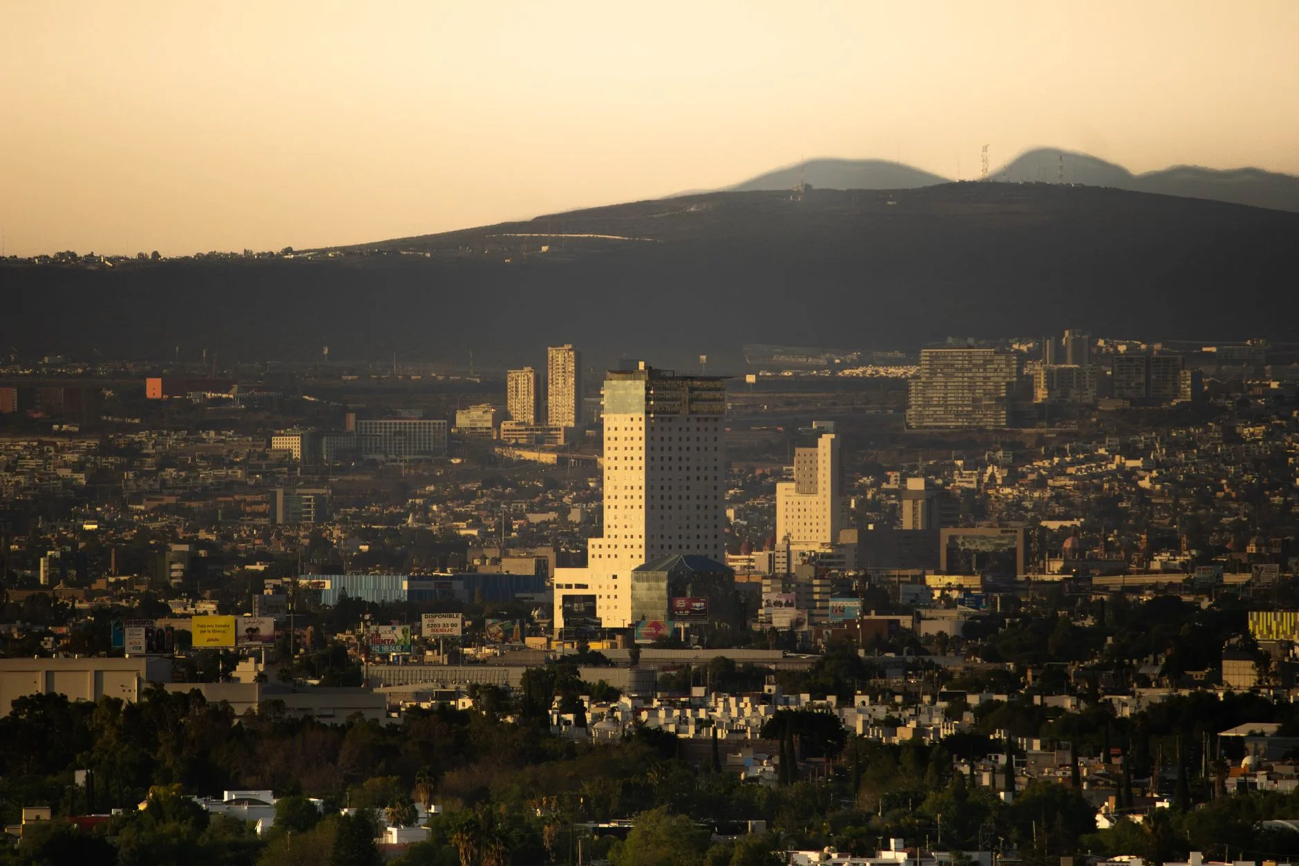 voco Viñedos del Polo Querétaro