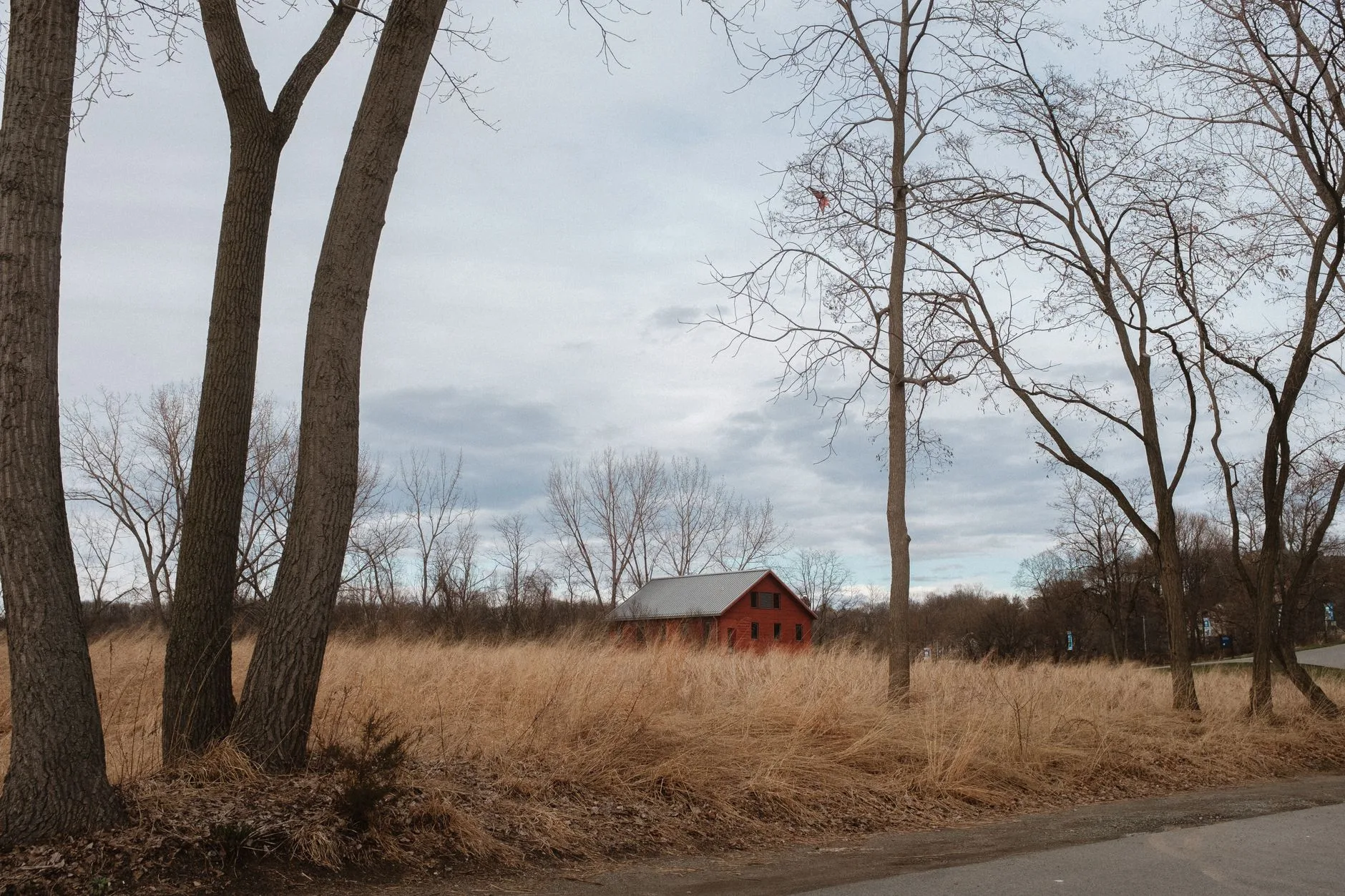 Rhinebeck