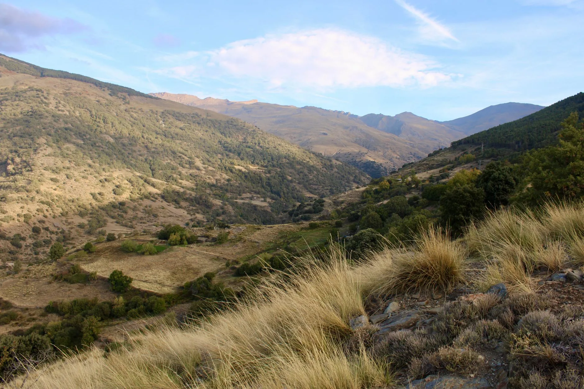 Sierra Nevada