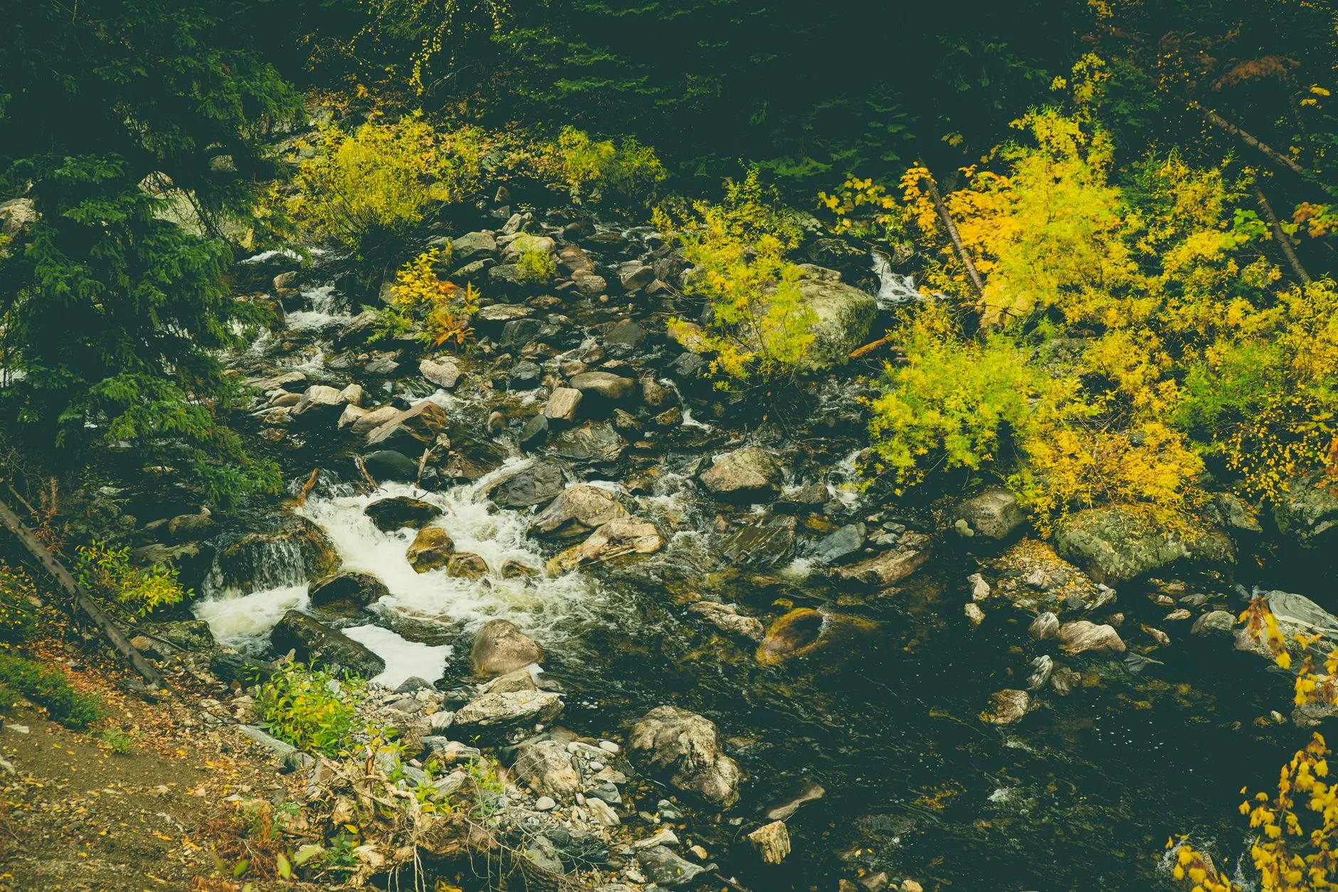 Steamboat Springs