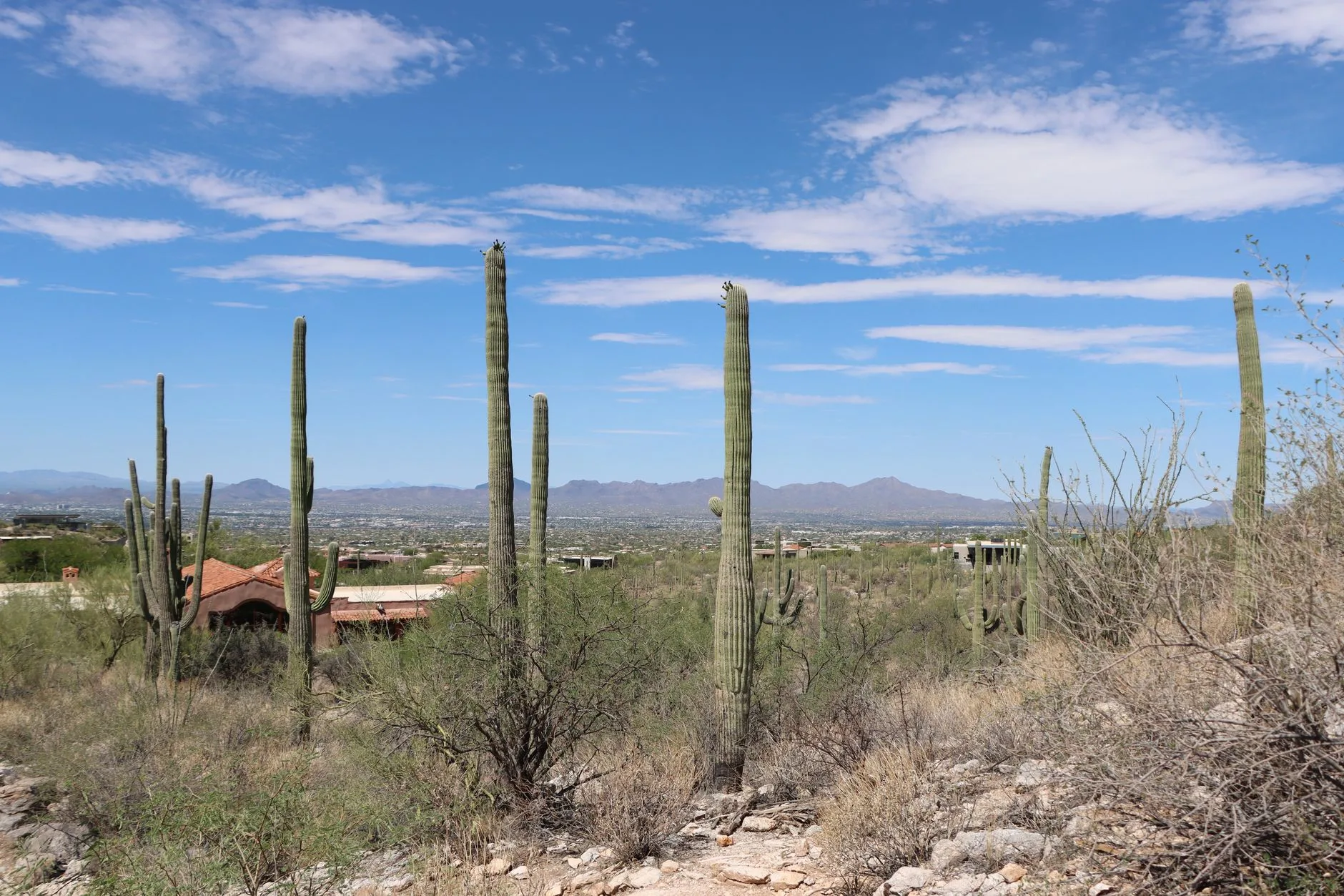 Tucson