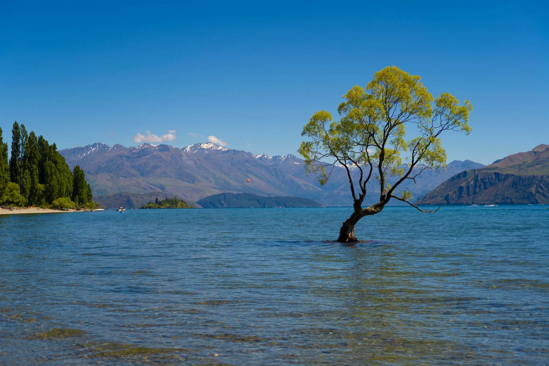Wanaka