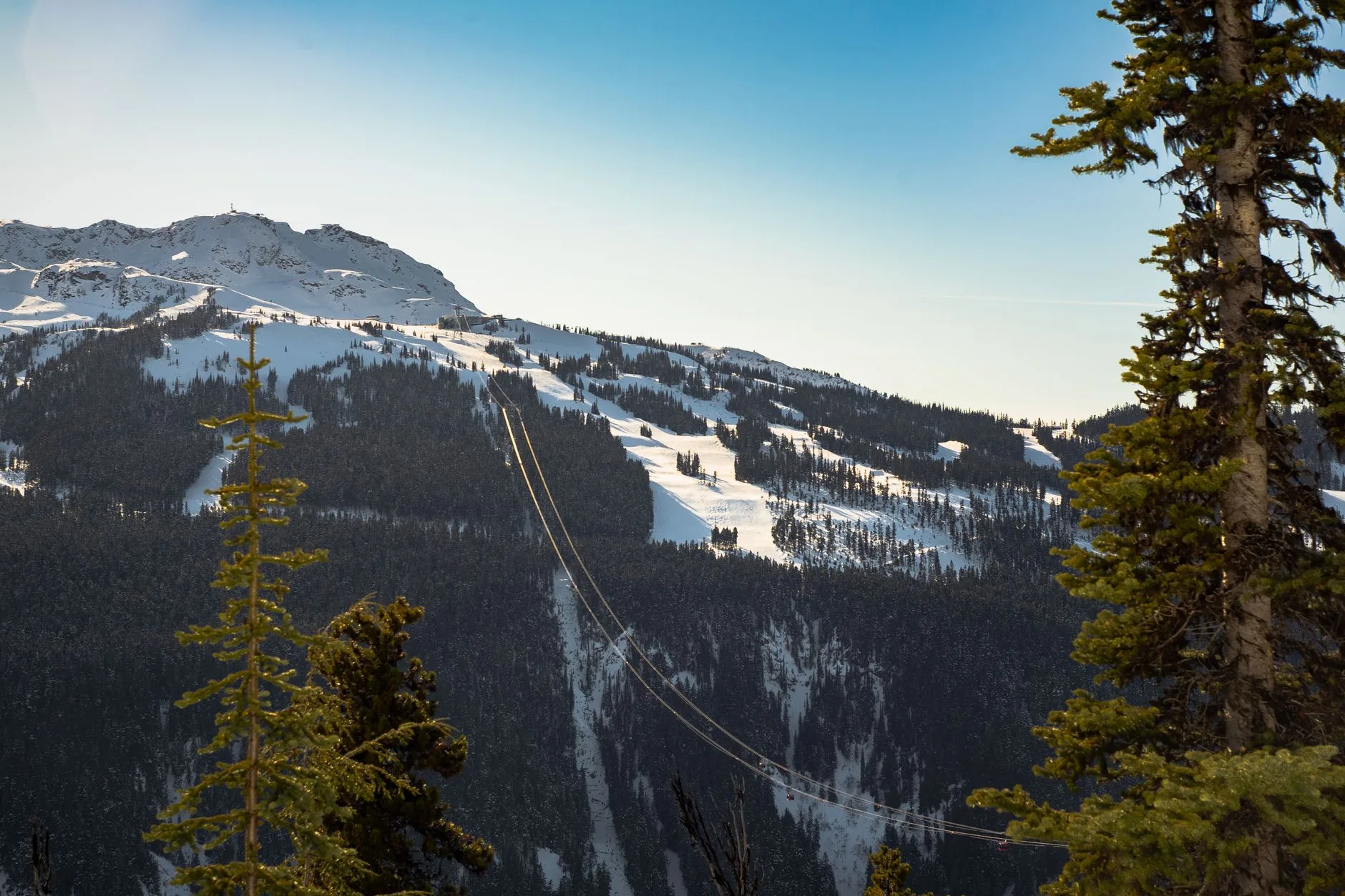 Whistler