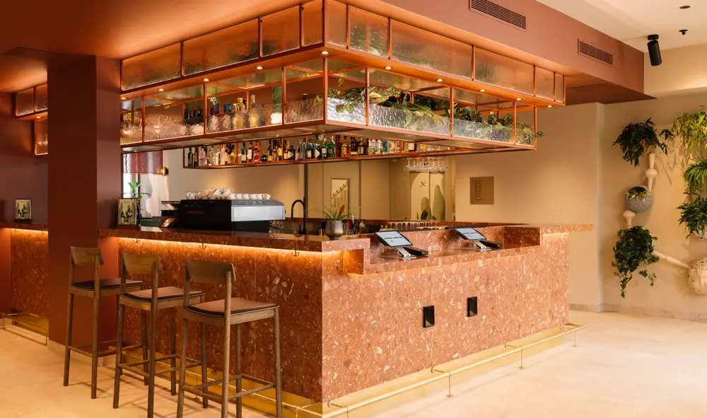 Hotel Schani City