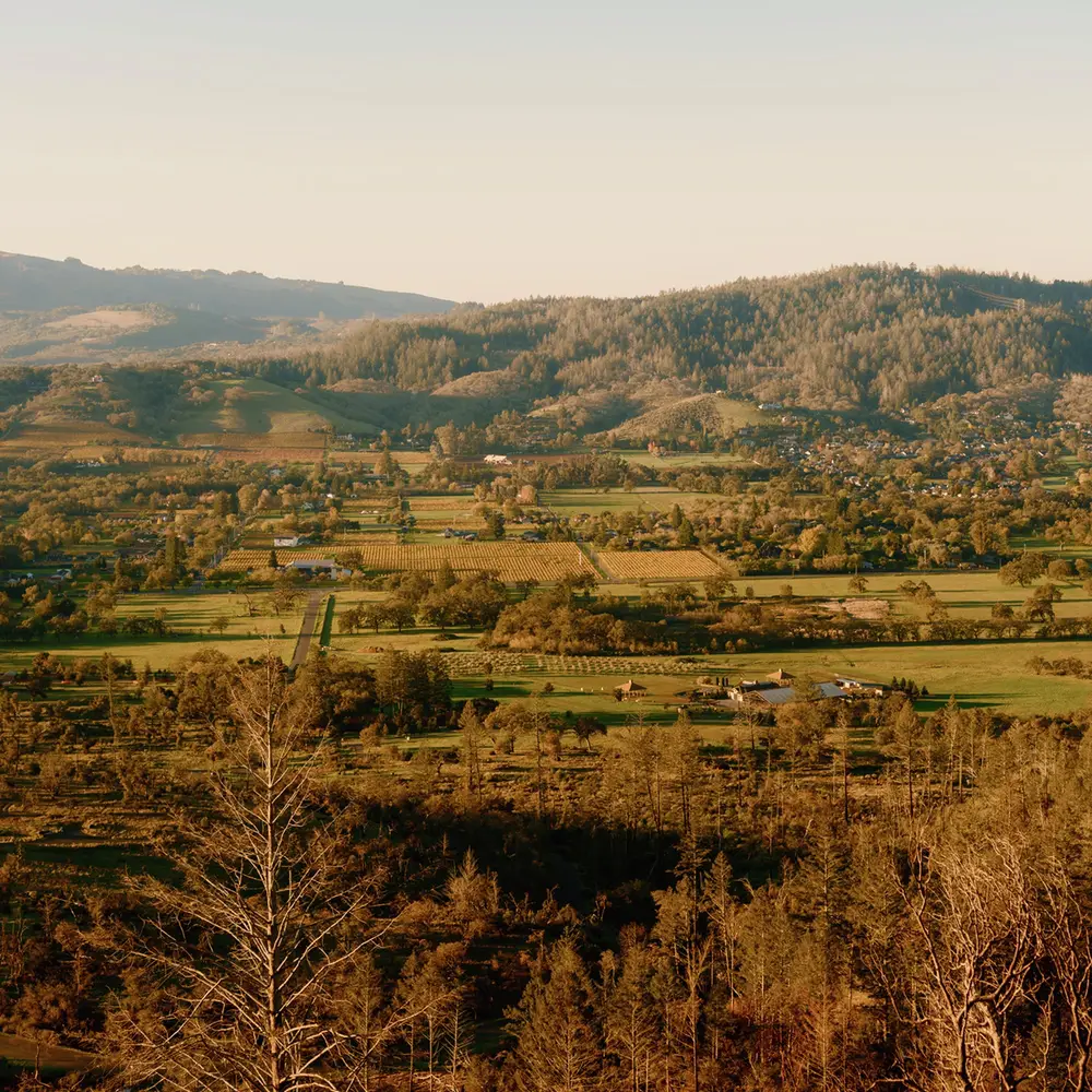 Soho Ranch House Sonoma